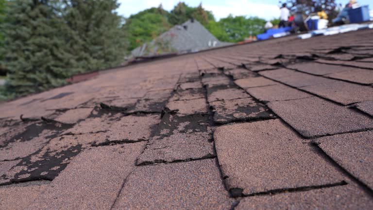 Reliable Scott City, KS Roofing Service Solutions