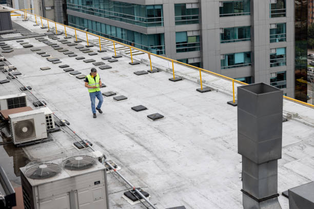 Best Skylight Installation and Repair  in Scott City, KS