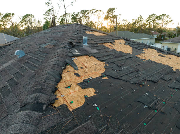 Best Roof Moss and Algae Removal  in Scott City, KS
